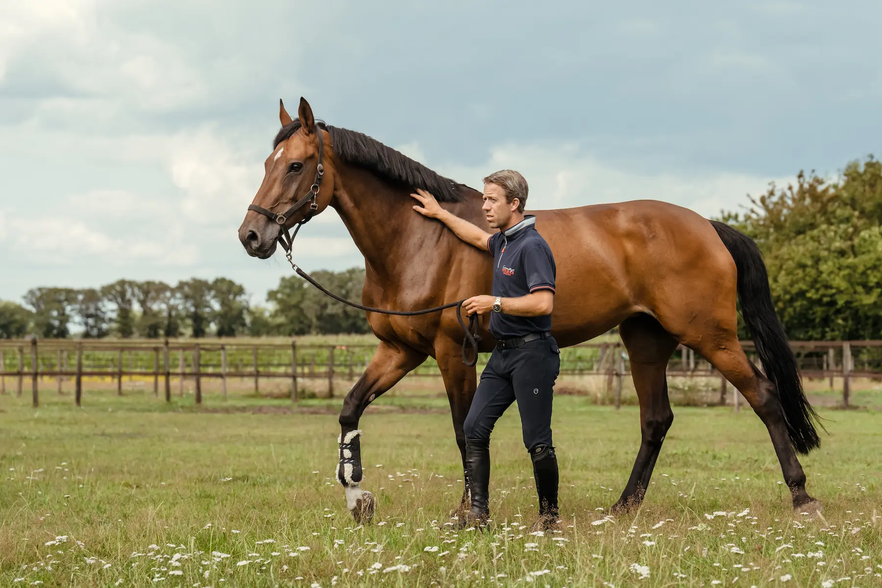 دليل اختيار الفيتامينات والمعادن للخيول | Foran Equine GCC