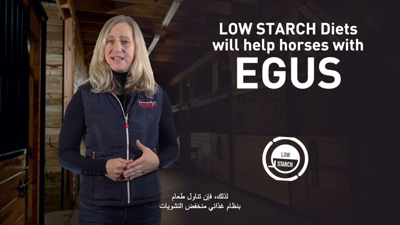 استشر خبراءنا – EGUS