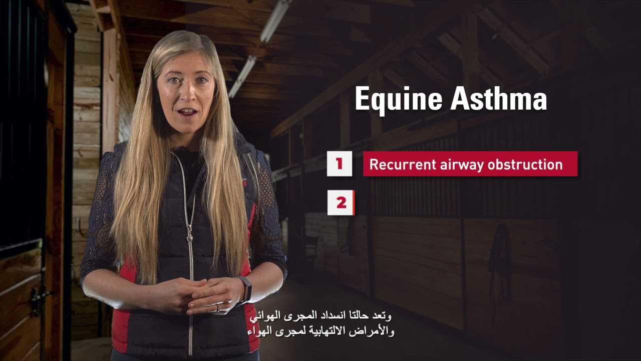 استشر خبراءنا – الجهاز التنفسي