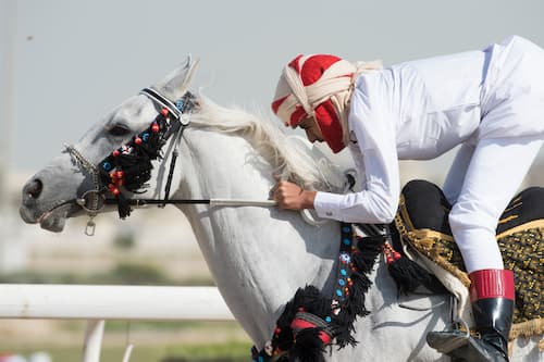 Tying Up in Horses in the Middle East