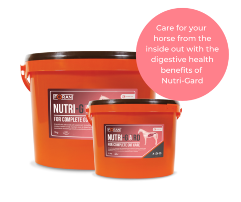 Kirsty-Aird-Nutri-Gard-testimonial-Facebook-Post-Landscape-1-e1695984359619