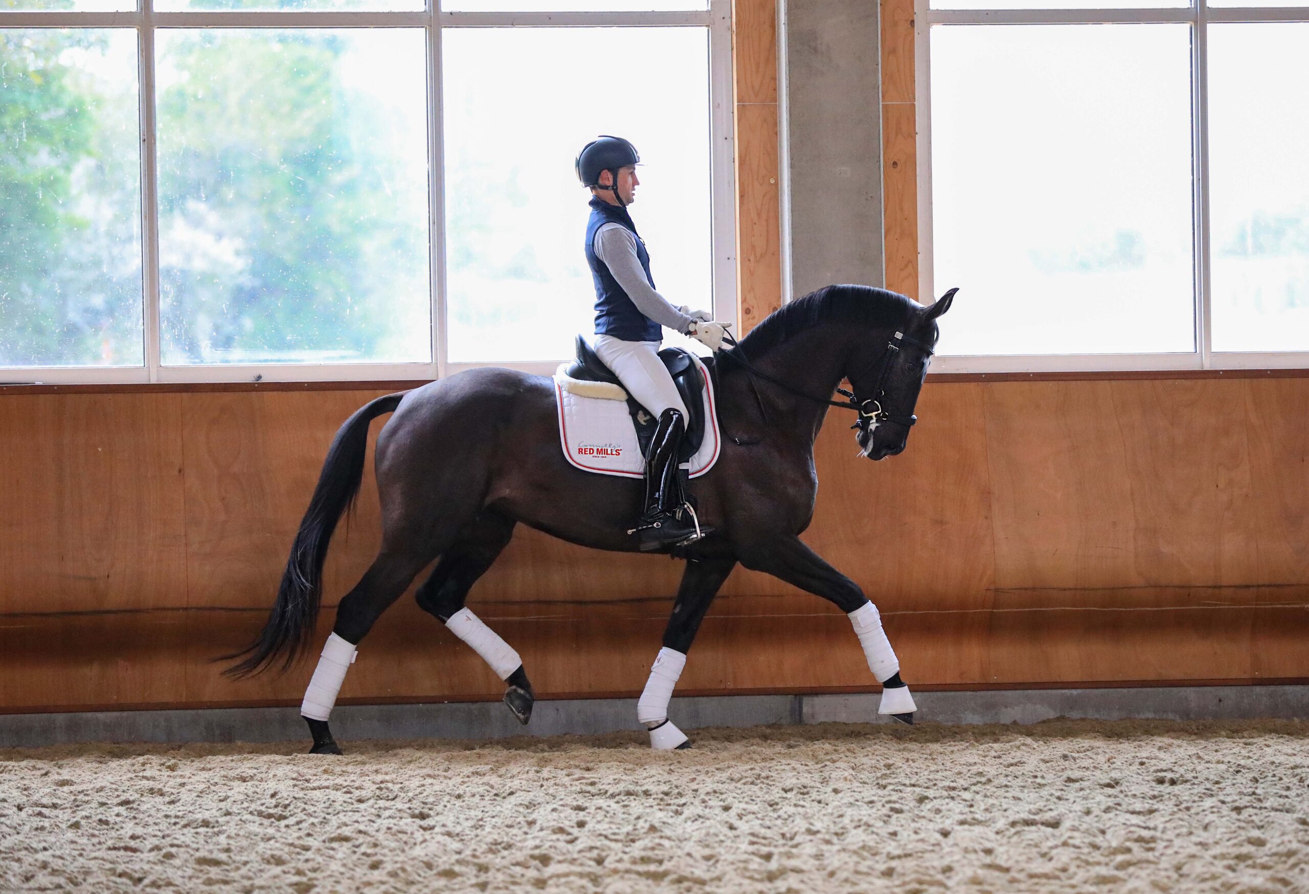 Best Supplements for the Dressage Horse