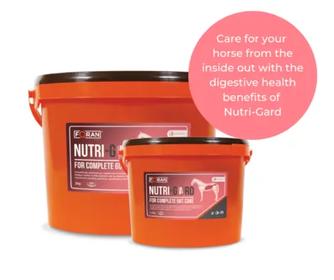 Kirsty-Aird-Nutri-Gard-testimonial-Facebook-Post-Landscape-1-e1695984359619