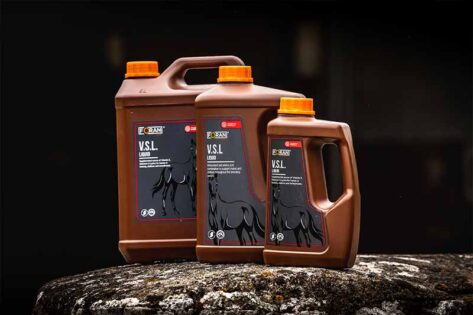 Multivitamin and mineral supplements for horses - Equine Nutrition