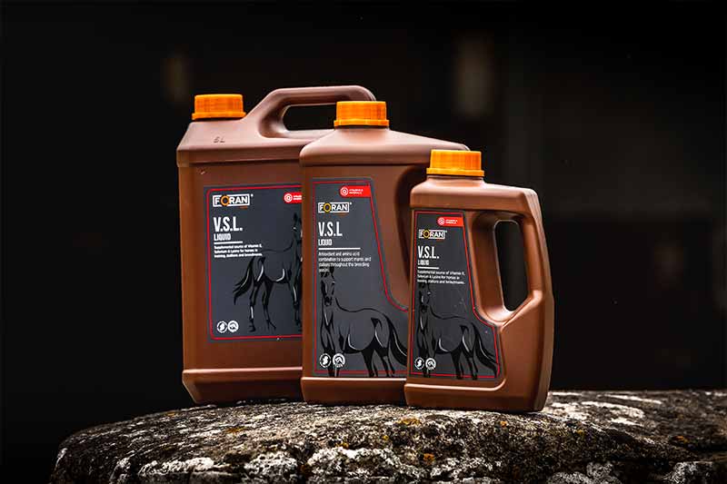Multivitamin and mineral supplements for horses - Equine Nutrition