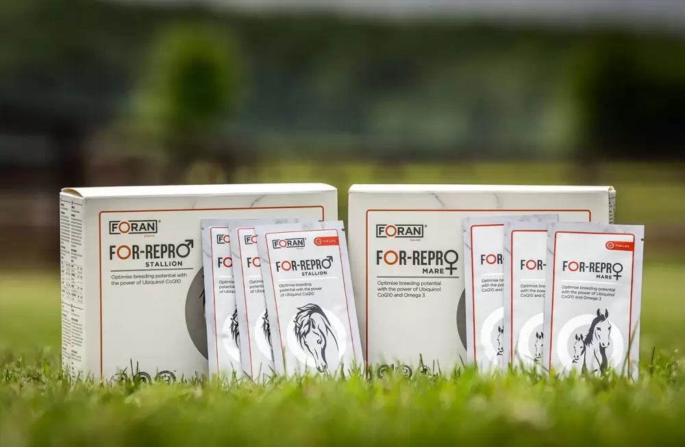 Foran Equine Launches in USA with Ground Breaking New Products