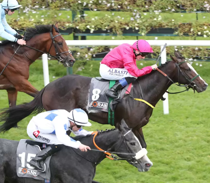 Full Field to Compete for €120,000 Foran Equine Irish EBF Auction Series Final