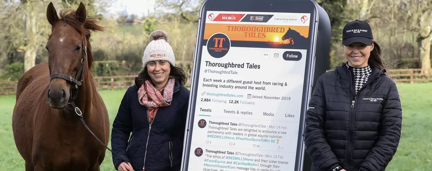 page-banner