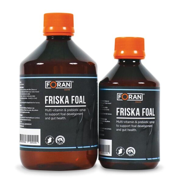 FRISKA FOAL