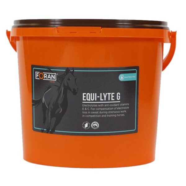 Equi-Lyte-G-600x600
