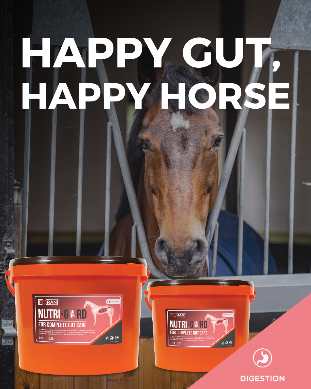 HAPPY GUT, HAPPY HORSE (1)