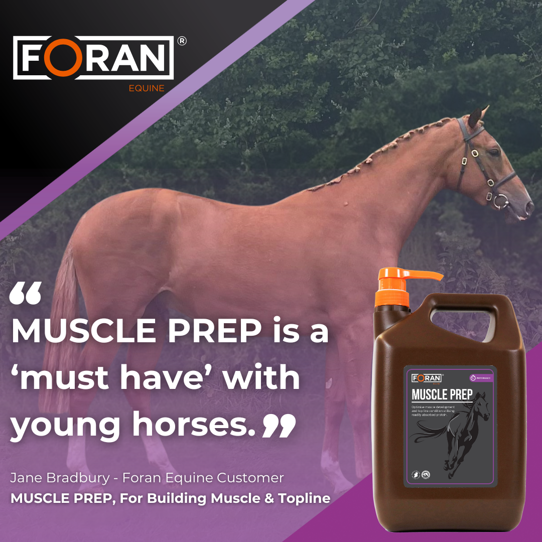 Jane Bradbury MUSCLE PREP