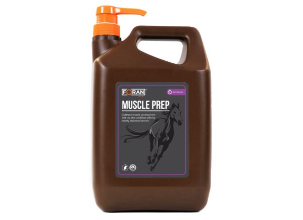 Muscle-Prep-scaled-600x435