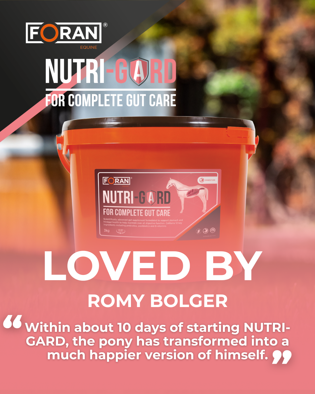 Romy Bolger