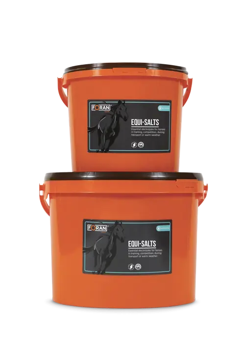 Equi-Salts-2