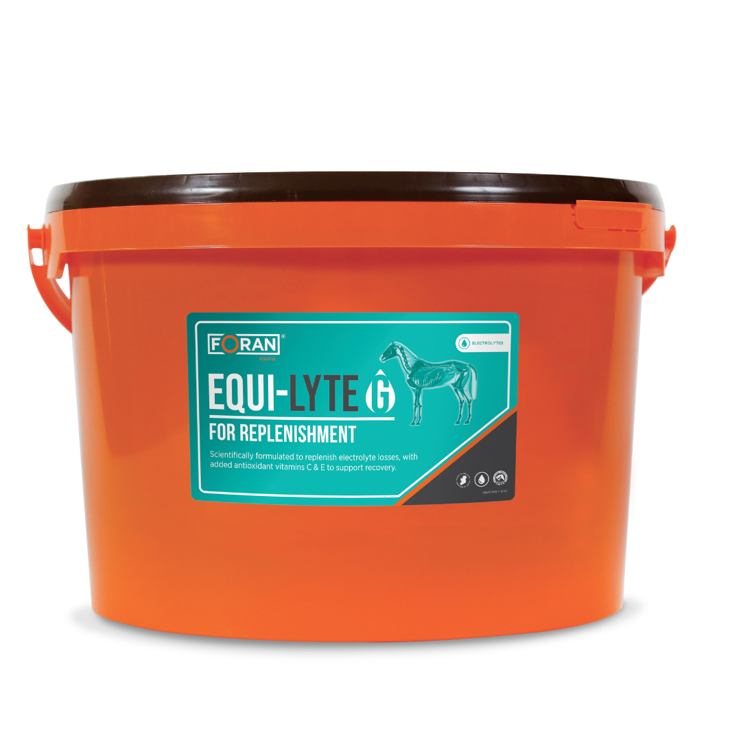 EQUI-LYTE G PACK SHOT