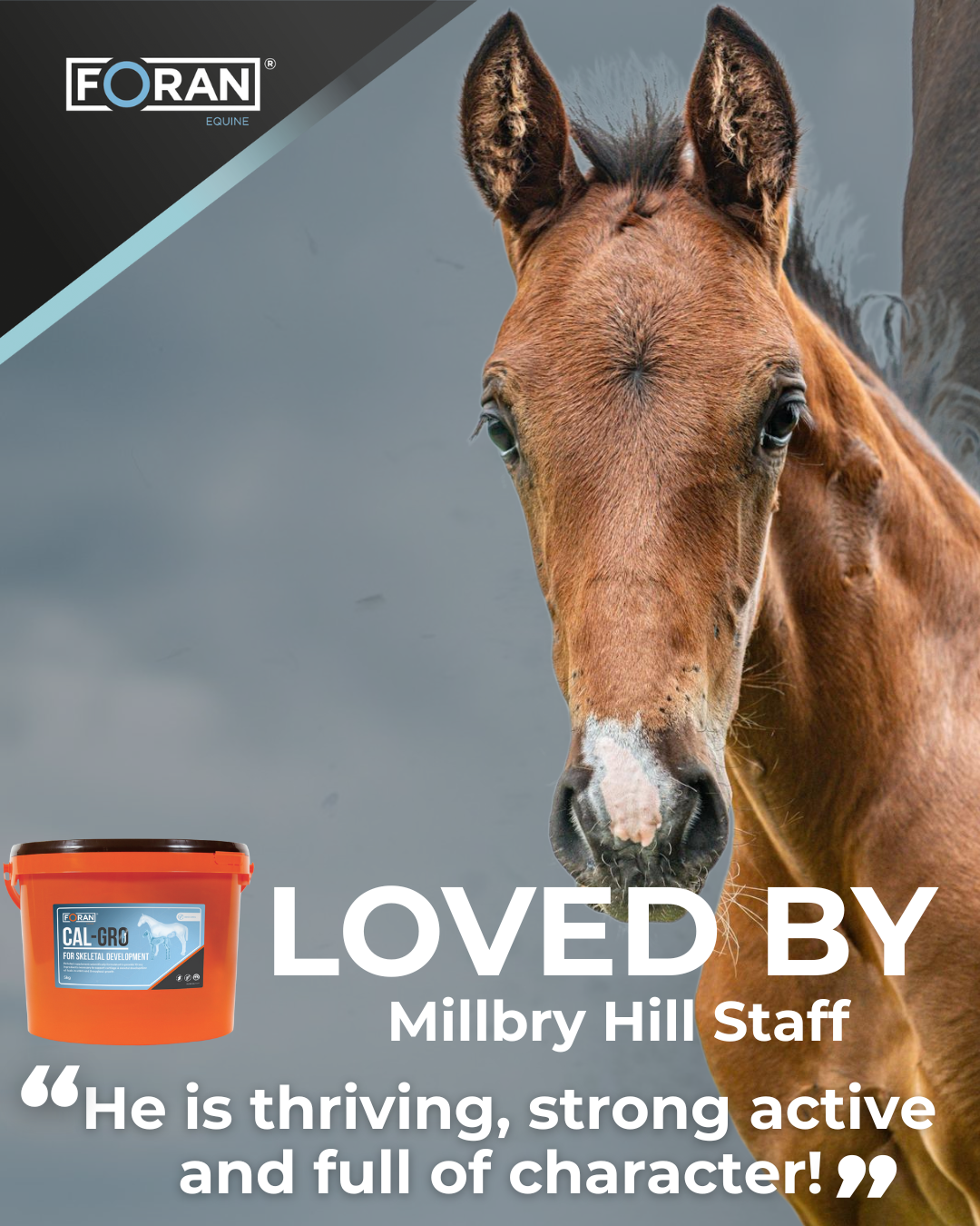 Millbry Hill Staff CAL-GRO testimonial