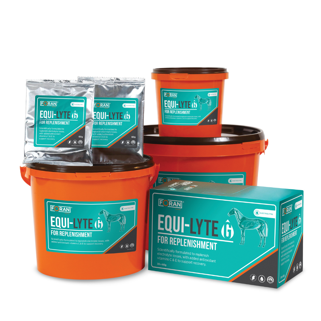 New EQUI-LYTE G Group Pack Shot