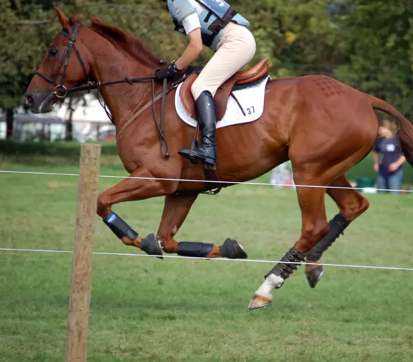 When the Going Gets Hard – Managing Horses Legs
