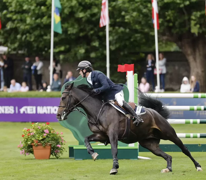 Are you ready for the Dublin Horse Show?