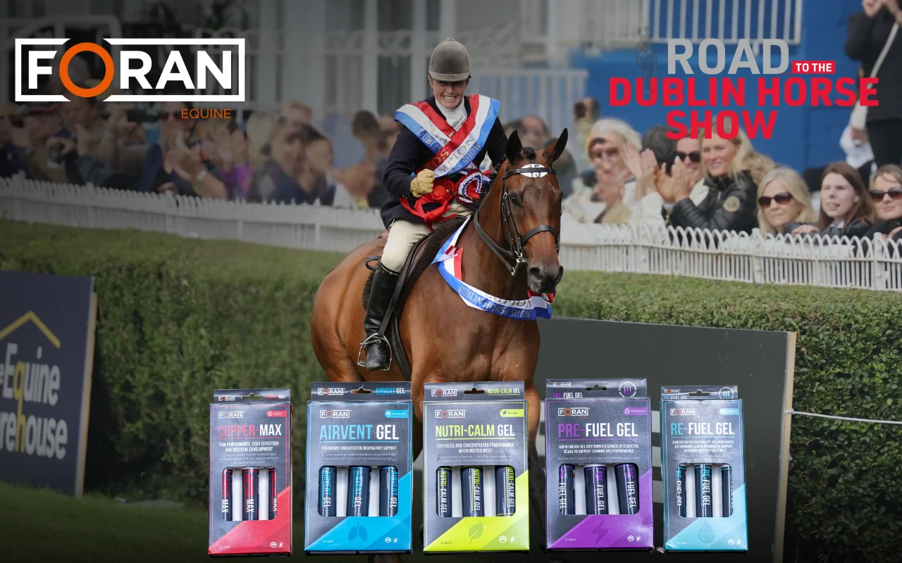 Dublin Horse Show Essentials