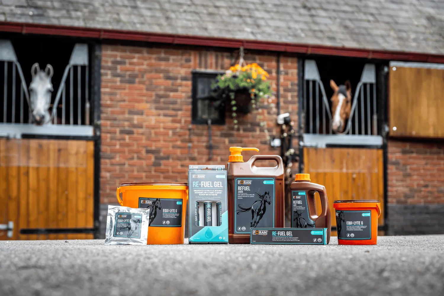 Electrolytes for Racehorses: Performance & Recovery