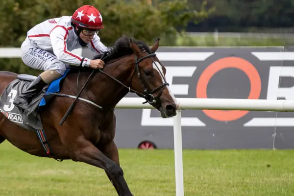 Winter Training, Immune Health & Performance for National Hunt Racehorses
