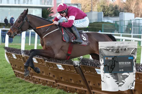 Racehorse Bone Health Nutrition Early Training