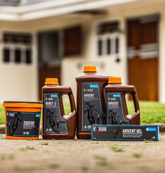 foran equine product shot