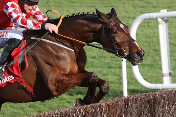 When Pollen Peaks: Keeping Racehorses Healthy, Training & Performing